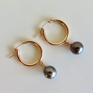 Tahiti Perlen Creolen, kleine Gold Tube Creolen, echte Perlen, Brautmode, elegante Geschenkidee für sie, handgefertigter Maui Hawaii Schmuck