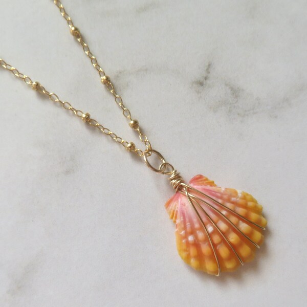 Sunrise Shell - Etsy