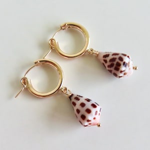 Gold Tube Hoop Earrings: Hebrew Cone Shells, Maui Beach Jewelry