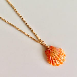 Puede incluir: Un collar de cadena en tono dorado con un colgante hecho de una pequeña concha marina en forma de abanico con rayas naranjas y blancas. La concha está asegurada con un fino alambre dorado que se extiende desde la argolla superior.