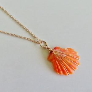 Sunrise Shell Necklace, Gold Chain, Wire Wrapped Orange Hawaiian Seashell, Hawaii Beach Creations, Handmade Maui Jewelry, OOAK Shells, Gifts