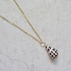 Seashell Necklace, Small Hebrew Cone Shell, Gold Chain, Hawaii Beach Jewelry, Gift Idea For Her, Handmade Maui, Mermaid Ocean Fashion