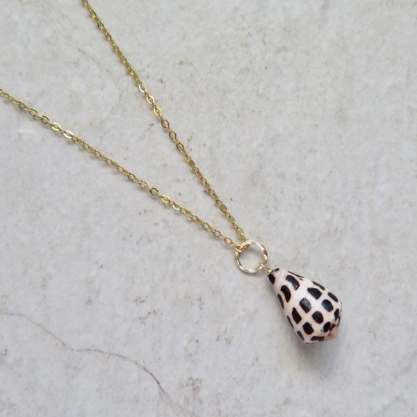 Hebrew Cone Shell Necklace: 14k Gold Filled Chain, Maui Jewelry