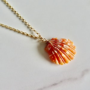 Sunrise Shell Necklace, Gold Chain, Wire Wrapped Orange Pink Hawaiian Seashell, Hawaii Beach Creations, Handmade Maui Jewelry, OOAK Shells