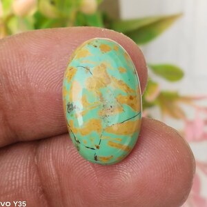 Puede incluir: Gema ovalada de turquesa con un patrón moteado de tonos verde claro y marrón claro. La piedra tiene vetas marrones oscuras y una superficie pulida. La gema se sostiene en una mano, con un fondo floral borroso.