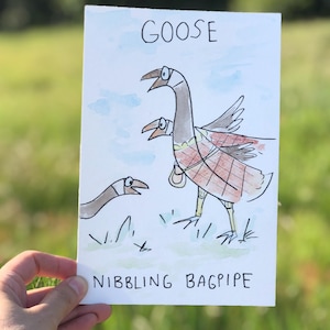 Pintura de acuarela original de ganso, juegos de palabras sobre pájaros, humor divertido/animal/lindo mordisqueando una gaita, ilustración de dibujos animados de kilt escocés para guardería