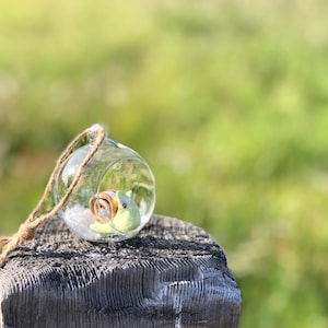Snail Snow Globe Ornament: Handmade Clay Figure, Holiday Decor