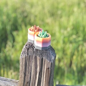 手作り多肉植物石鹸：ヴィーガンエッセンシャルオイル、ウェディングギフト