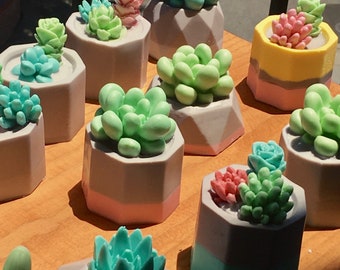 One Dozen Colorful Succulents, Succulent soaps, Bridal Shower, Wedding Favors, geometric, cactus, soap favors, birthday, party favors,