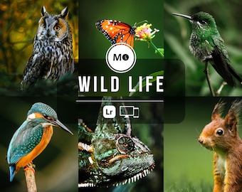 5 Wildlife Lightroom Presets | Natural Earthy Tones for Animal & Nature Photography (Mobile + Desktop)