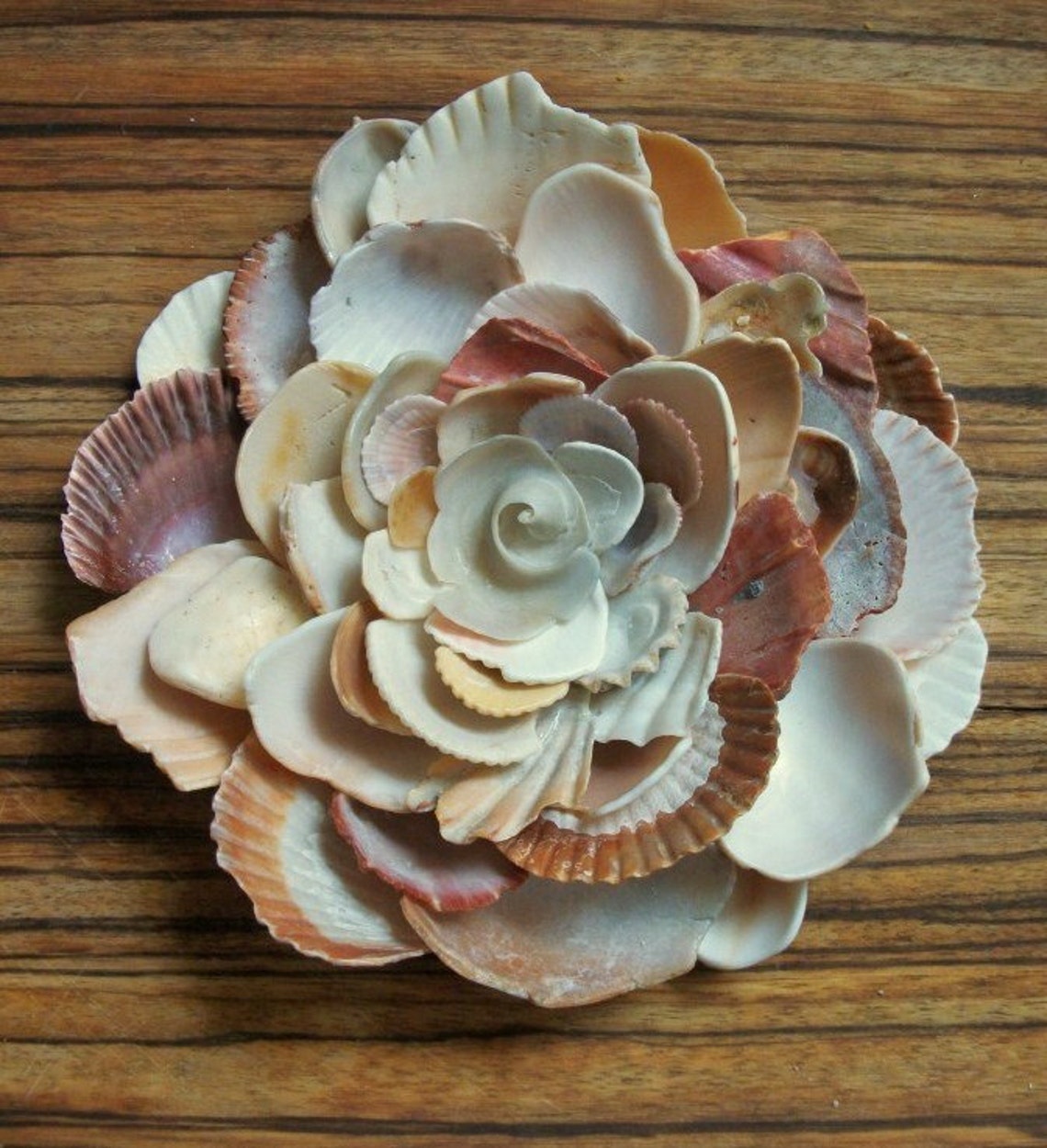 Wall Art Flower Sculpture Seashell Art Etsy