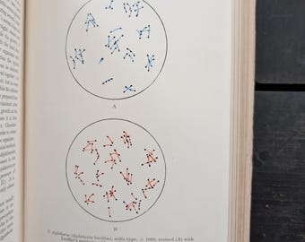 Vintage (1939) A Text-Book of Bacteriology by R. W. Fairbrother - Illustrated. C. V. Mosby Company. Ronald Wilson. Bacteriologist.