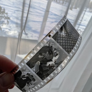 May include: A strip of black and white film negative, showing several frames of images. The film is held up against a window with sheer white curtains. The film has the text "KODAK 5063 TX" printed on it.