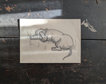 Vintage (1960's) Original Art Graphite On Paper - Dachshund. Minimalist Dog Sketch.