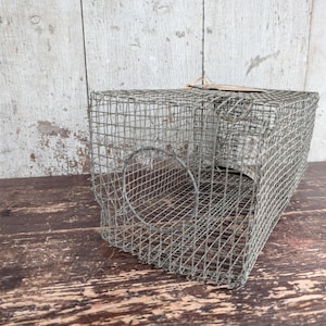 May include: A vintage metal wire cage trap, rectangular in shape with a hinged door and a circular opening on one end. The cage is made of galvanized steel wire and sits on a weathered wooden surface.