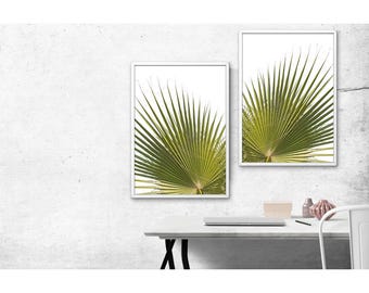 Palm Leaf Print | Mirrored Botanical Art from Sicily (Digital Download)