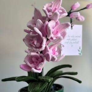 Può includere: Una composizione di orchidee rosa fatta a mano in un vaso di ceramica verde. L'orchidea presenta delicati petali rosa con tocchi di bianco, foglie verdi e un piccolo biglietto con testo scritto a mano. Il vaso è verde scuro.