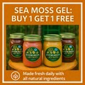 Buy ONE Get ONE FREE! - Flavored Sea Moss Gel - Dr Sebi Inspired Superfood - True St Lucian Sea Moss Gel! - New Flavor Combos!