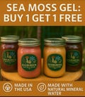 Organic Sea Moss Gel - BOGO! - Buy 1 Get 1 FREE! - Dr Sebi Inspired Flavored Irish Sea Moss Gel - Vegan Superfood - FREE Shipping Available!
