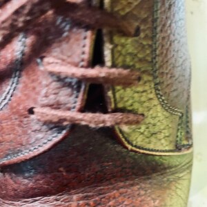 May include: Close-up of a brown leather shoe with a lace-up closure. The shoe has a textured leather upper and a contrasting green leather panel on the side.