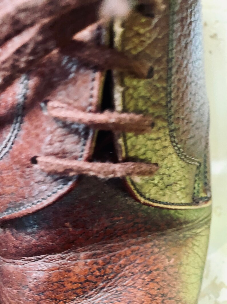 May include: Close-up of a brown leather shoe with a lace-up closure. The shoe has a textured leather upper and a contrasting green leather panel on the side.