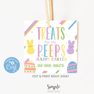 Etiquetas para presentes de Páscoa - Etiquetas de coelhinho pastel personalizadas para cestas - Etiqueta de deleite de Páscoa para impressão - Download instantâneo personalizado editável DIY