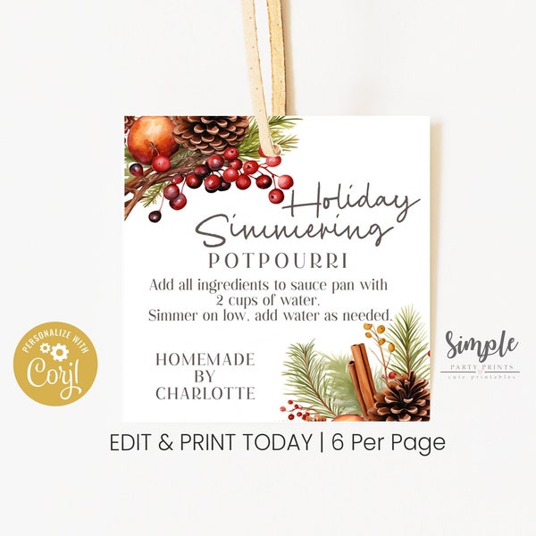 Holiday Simmering Stovetop Potpourri Tag, Teacher Employee Client Staff Gift Idea, Printable Homemade Christmas Potpourri Instructions Label