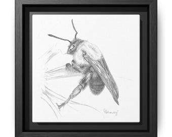 Common Eastern Bumble Bee - Matte Canvas Art Print, Framed