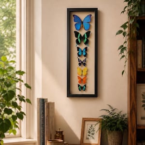 Puede incluir: Un marco rectangular negro vertical tipo caja con siete mariposas preservadas dispuestas en columna. Las mariposas muestran un espectro de colores que incluye azul, verde, negro, amarillo y naranja, sobre un fondo de color beige claro.