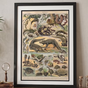 Puede incluir: Lámina vintage enmarcada titulada "Reptiles" con ilustraciones detalladas de varios reptiles, incluyendo serpientes, tortugas y cocodrilos. La obra de arte es de estilo clásico con una paleta de colores neutros, enmarcada en negro.