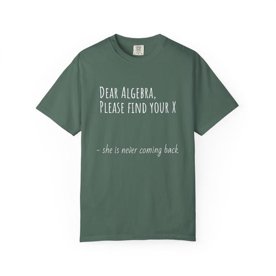 Funny Algebra Graphic Tee: Math Teacher Gift
