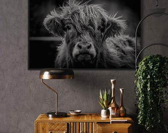 Impressão de vaca das Terras Altas: fotografia de fazenda em preto e branco (download digital)