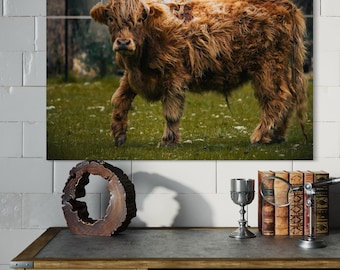 Highland Cow Wall Art Print | Rustic Farmhouse Decor | Highland Cattle Photography | Digital Download