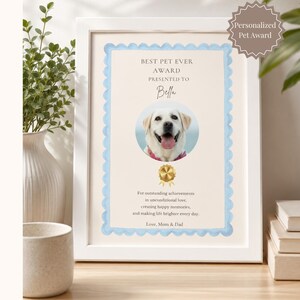Könnte beinhalten: Ein weiß gerahmtes Zertifikat mit dem Titel Best Pet Ever Award für Bella, das ein kreisförmiges Foto eines gelben Labrador Retrievers, ein goldenes Siegel und einen Text über bedingungslose Liebe und glückliche Erinnerungen enthält.
