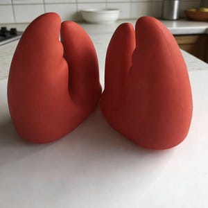 May include: Two red silicone oven mitts, designed to protect hands from heat. The mitts are a vibrant shade of red and are placed side by side on a white surface. The mitts are in a kitchen setting.