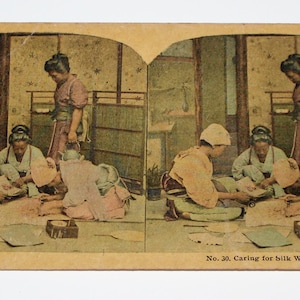 May include: A vintage stereoscopic card depicting women in traditional Japanese clothing caring for silkworms. The card features the text "No. 30. Caring for Silk Worms, Japan".