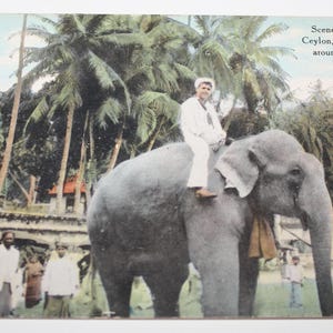 Vintage Leinen Postkarte Motiv Colombo Ceylon Elefant