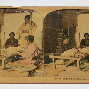 May include: A vintage stereoscopic image showing women sorting silk cocoons in a Japanese factory. The image is titled "Sorting the Cocoons of the Silk Worm, Japa".