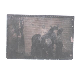 May include: A faded black and white photograph showing a person riding a horse, with two other figures standing close by. The horse is positioned in front of a wooden structure. The image has a vintage, worn look.