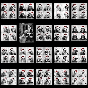 May include: A collection of black and white portraits of various animals, including dogs, monkeys, raccoons, and birds, all wearing Santa hats. The images are arranged in a grid pattern, creating a festive and humorous theme.
