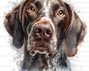 Braco Alemán de Pelo Corto PNG - Clip art de perro GSP en acuarela - Retrato de perro de caza - Fondo transparente para uso comercial