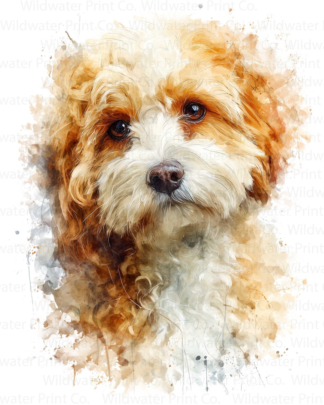 Cavapoo PNG Clipart – Watercolor Cavapoo Portrait – Cavapoo Gift ...