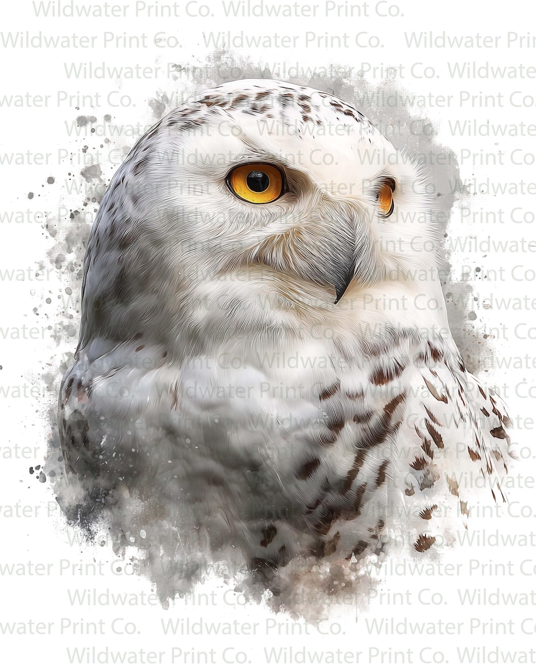 Snowy Owl Watercolor Clip Art – Realistic Snowy Owl PNG – White Owl ...