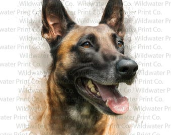 Belgian Malinois Watercolor Clip Art PNG – Realistic Malinois Dog Portrait – Police Dog Art – Protection Dog Wall Art – Digital Download