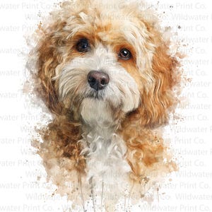 Puede incluir: Retrato al estilo acuarela de un perro Cavapoo. El perro tiene un pelaje esponjoso, marrón claro y blanco, con ojos oscuros y una nariz marrón. La obra de arte tiene un efecto suave y pictórico, con salpicaduras de acuarela.
