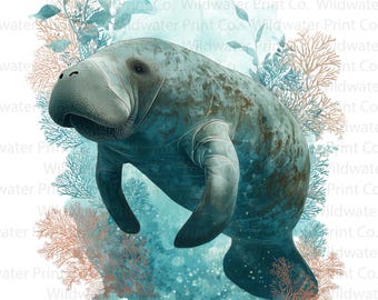 Imagen prediseñada de manatí en acuarela – Ilustración de vaca marina en el océano PNG – Descarga digital marina costera