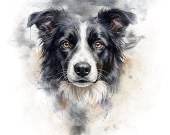 Border Collie Watercolor Clipart PNG - Running Dog Portrait - Transparent Background - Digital Download - Commercial Use PNG