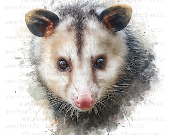 Opossum Watercolor Style Portrait - Printable Wildlife Art - Funny Animal Gift - Digital Download