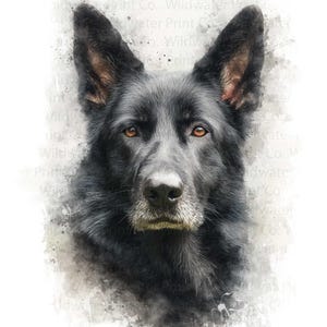 May include: A watercolor-style portrait of a black German Shepherd dog. The dog has dark fur, amber eyes, and a focused expression. The artwork has a soft, textured appearance with subtle watercolor effects.