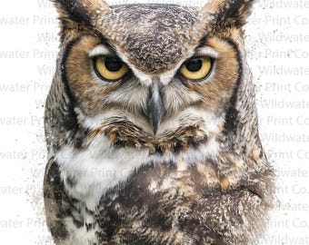 Great Horned Owl PNG - Realistic Owl Portrait Watercolor Clipart - Bird of Prey Wall Art - Transparent Background Commercial Use Sublimation